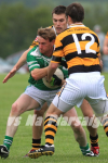 Copyright: Con Tringle/Doheny GAA Club
