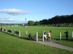 Author: Niall Collins&nbsp;|&nbsp;Copyright: Doheny GAA Club