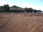 Source: Kevin Collins